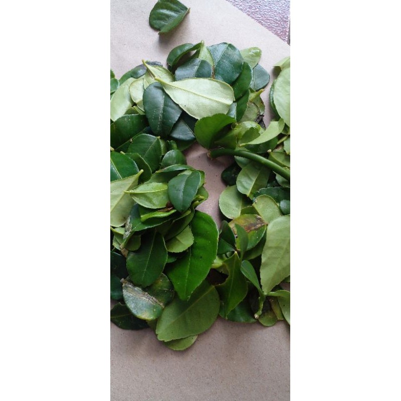 

Promo terlaris Daun jeruk fresh 25gr termurah
