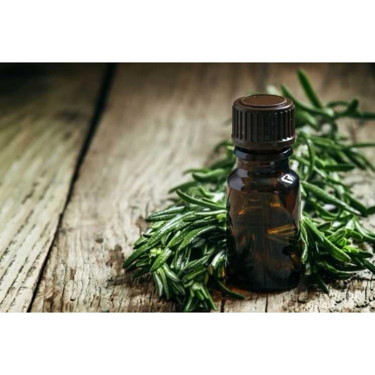 

Eclipta Alba / Urang-Aring Extract (100ml)