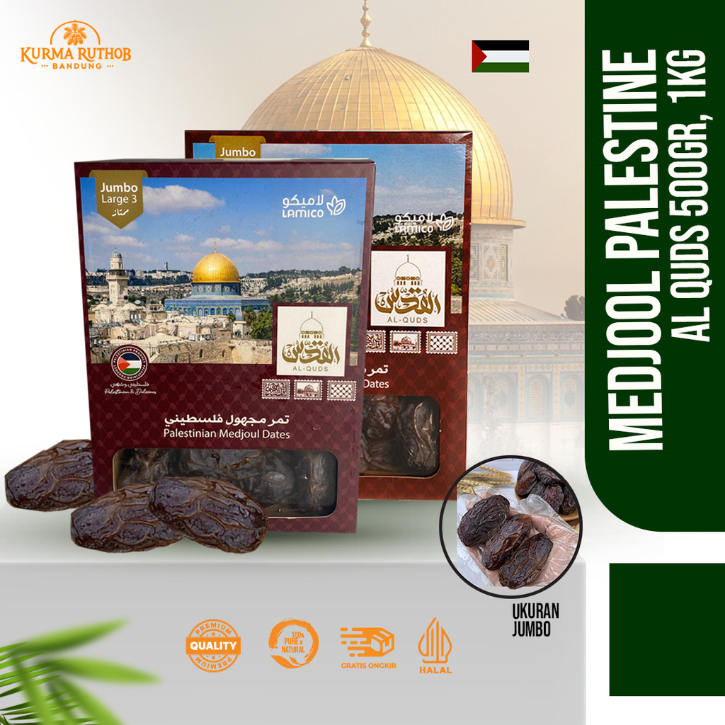 

KURMA MEDJOOL AL QUDS PALESTINE ORIGINAL MEDJOUL DATES