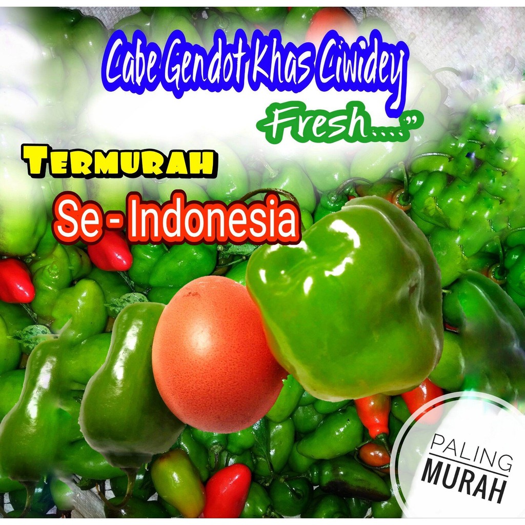 VIRAL Cabai Gendot  1 KG , Cabe Gembor , Cabe Gendot , Cabai Super Grade A Murah