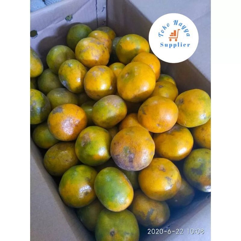 

[Dikirim Instant] Jeruk Medan SUPER Berastagi Manis Segar | Pilih Varian Kemasan