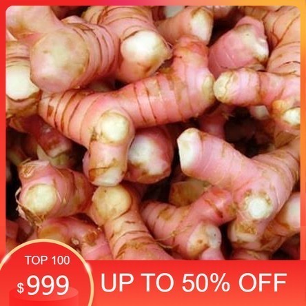 

LBJ Lekuas Super Fresh Super Quality 250gr