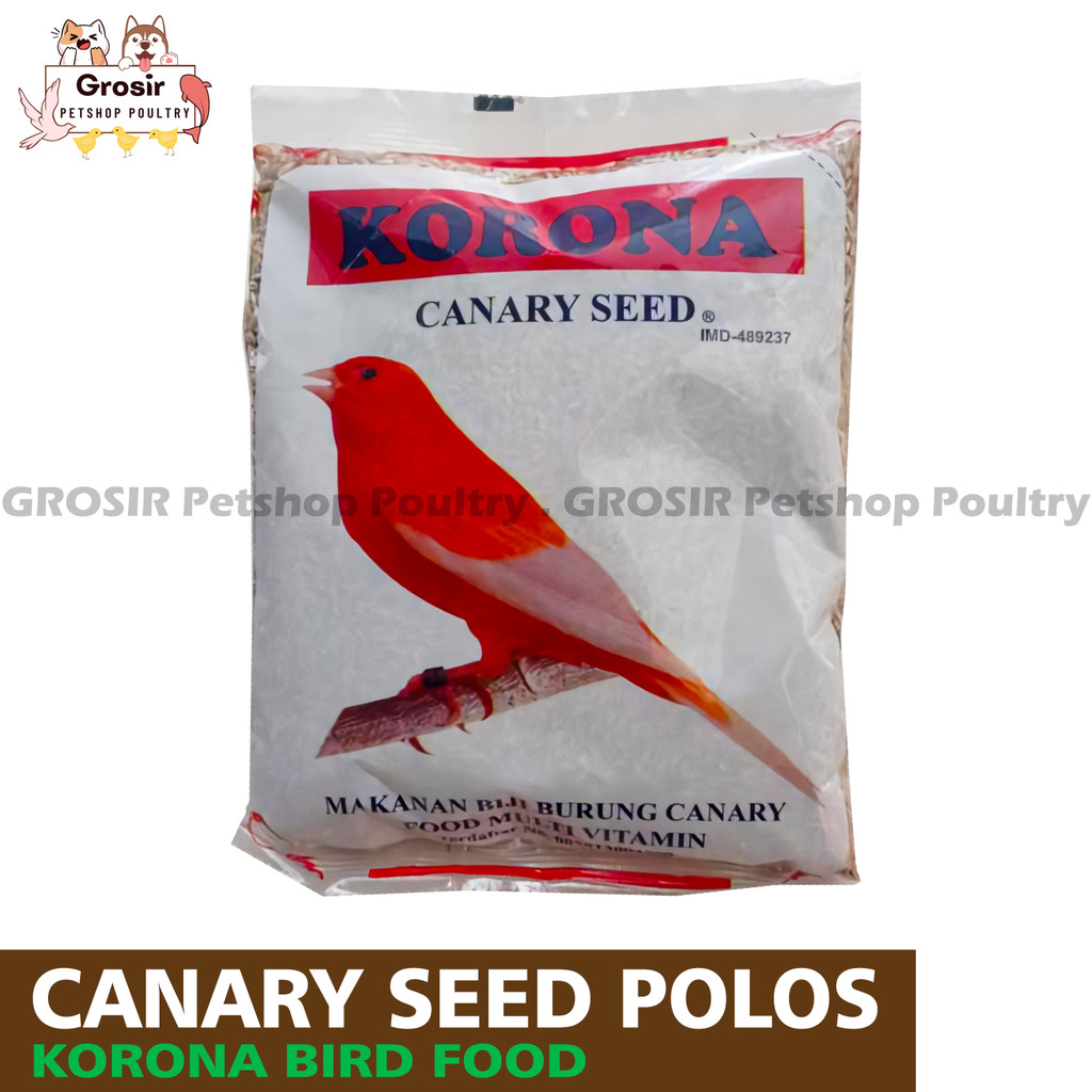 KORONA KENARI POLOS / PAKAN KENARI KORONA CANARY SEED / CORONA KENARI