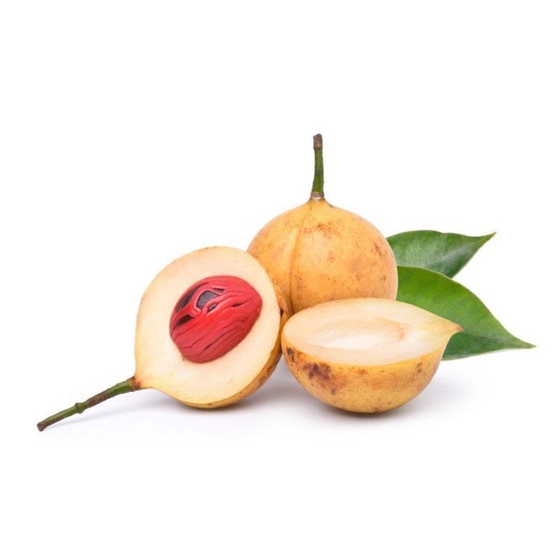 

Termurah Buah pala tua bulat 1kg utuh segar siap petik