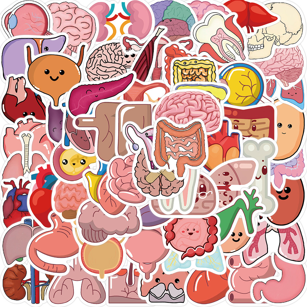 

65PCS Cartoon Human Organ Cute Medical Anatomy Sticker Laptop Bicycle Guitar Phone Kid Toy DIY Graffiti Waterproof Stickers