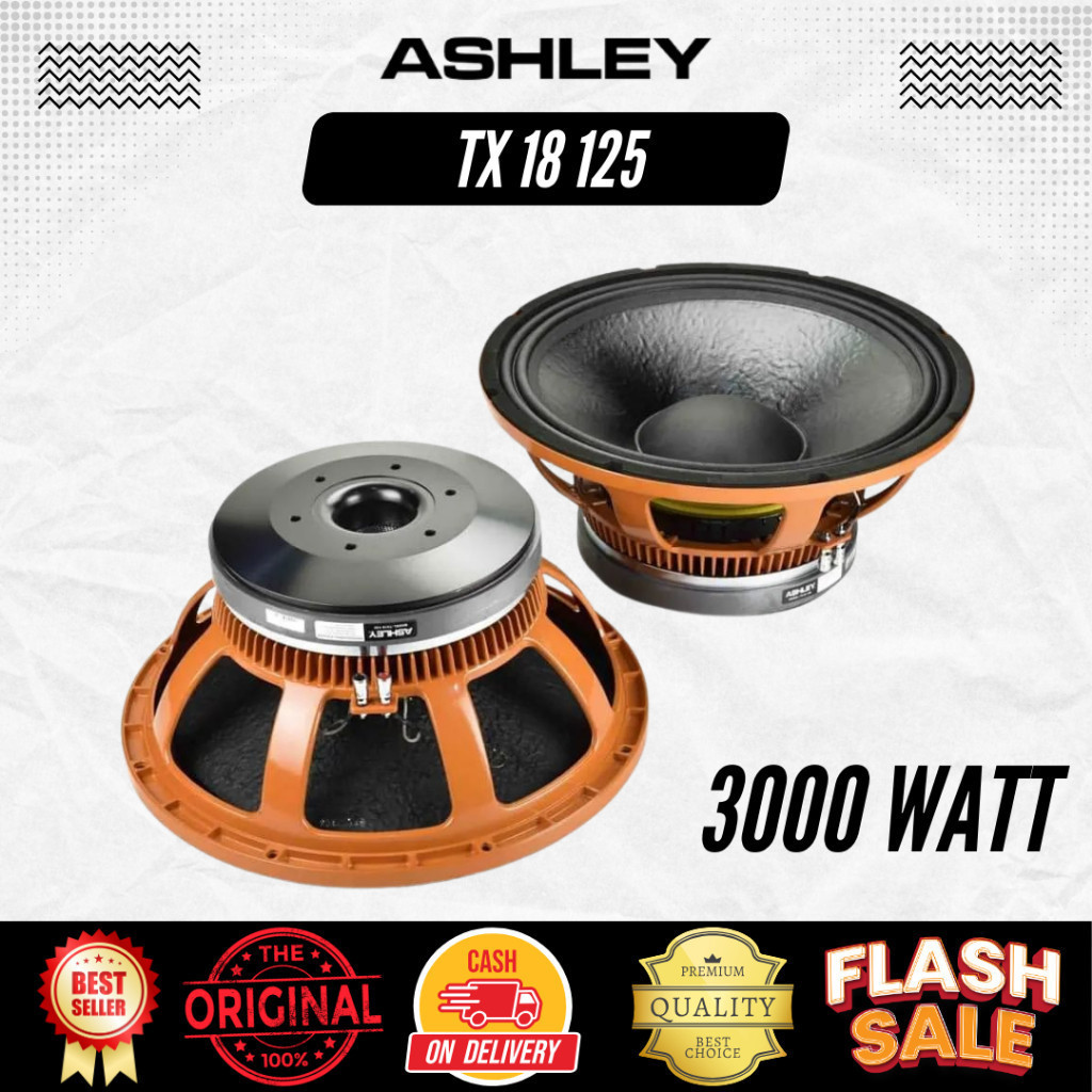 Speaker 18 inchi Ashley TX18 125