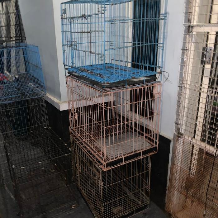 Kandang bekas anjing kucing kelinci marmut 60cm - Tanpa alas