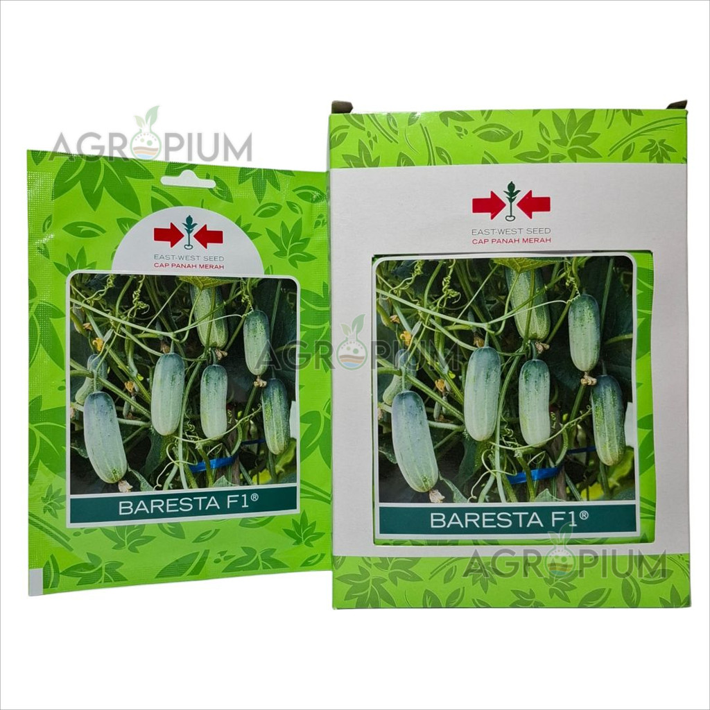 Benih Timun Baby Mentimun Baresta F1 Isi 175 Butir Kemasan Asli Cap Panah Merah