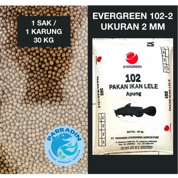 EVERGREEN 102-2 PAKAN IKAN LELE APUNG 1 Sak / Karung Ukuran 2MM