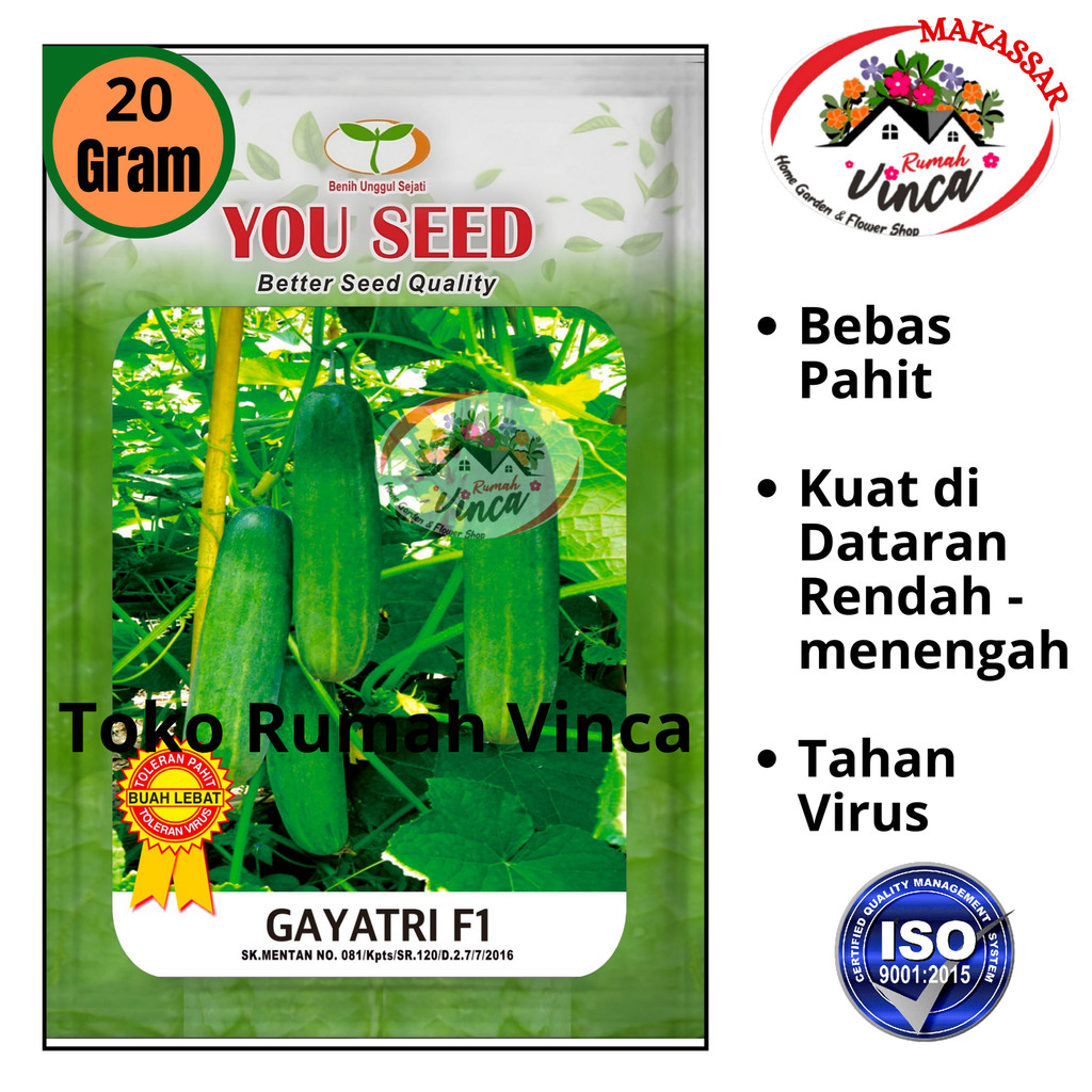 Benih Timun Lalap Baby Hijau Super Tahan Virus GAYATRI F1 20g Cap You Seed