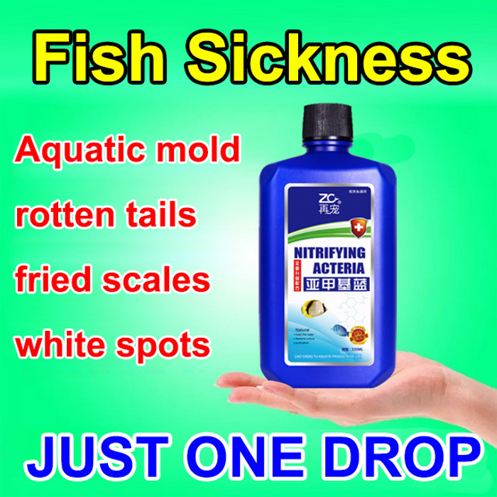 ⭐COD+24H Pengiriman Cepat⭐【GRATIS ONGKIR】Methylene Blue/Probiotik Akuarium Kuat/Obat Ikan/Obat Biru 