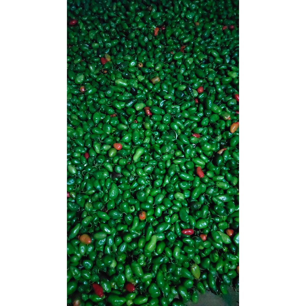 

VIRAL CABE GENDOT 750gram