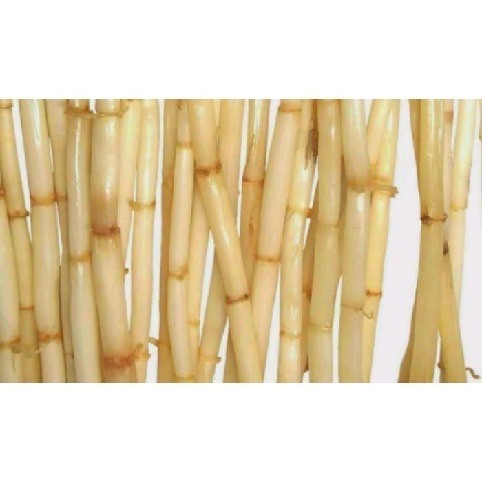 

(1kg) Herbal Akar Alang alang Segar ilalang organik Bersih