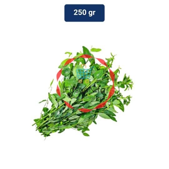 

Daun Katuk 250 gr - Fasyanita Denpasar