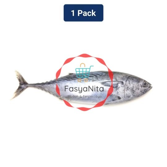 

Ikan Tongkol 1 pack (400 - 550 gr) - Fasyanita Denpasar