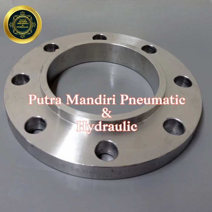 Flange 12 inch Ansi 150 Stainless 304 SORF