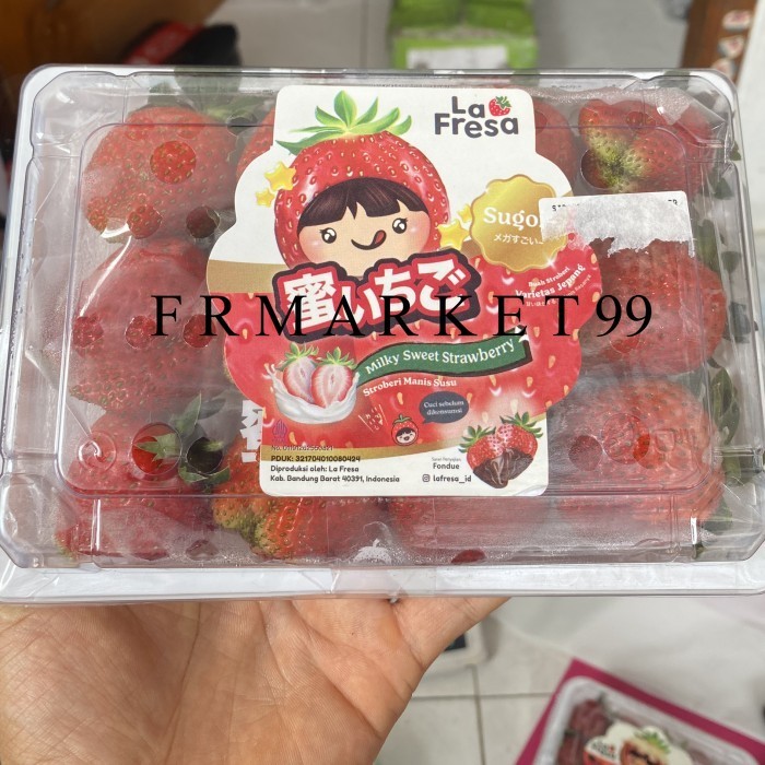 

Strawberry Lafresa Super Jumbo / Buah Strawberry La Fresa Bibit Jepang / Pack