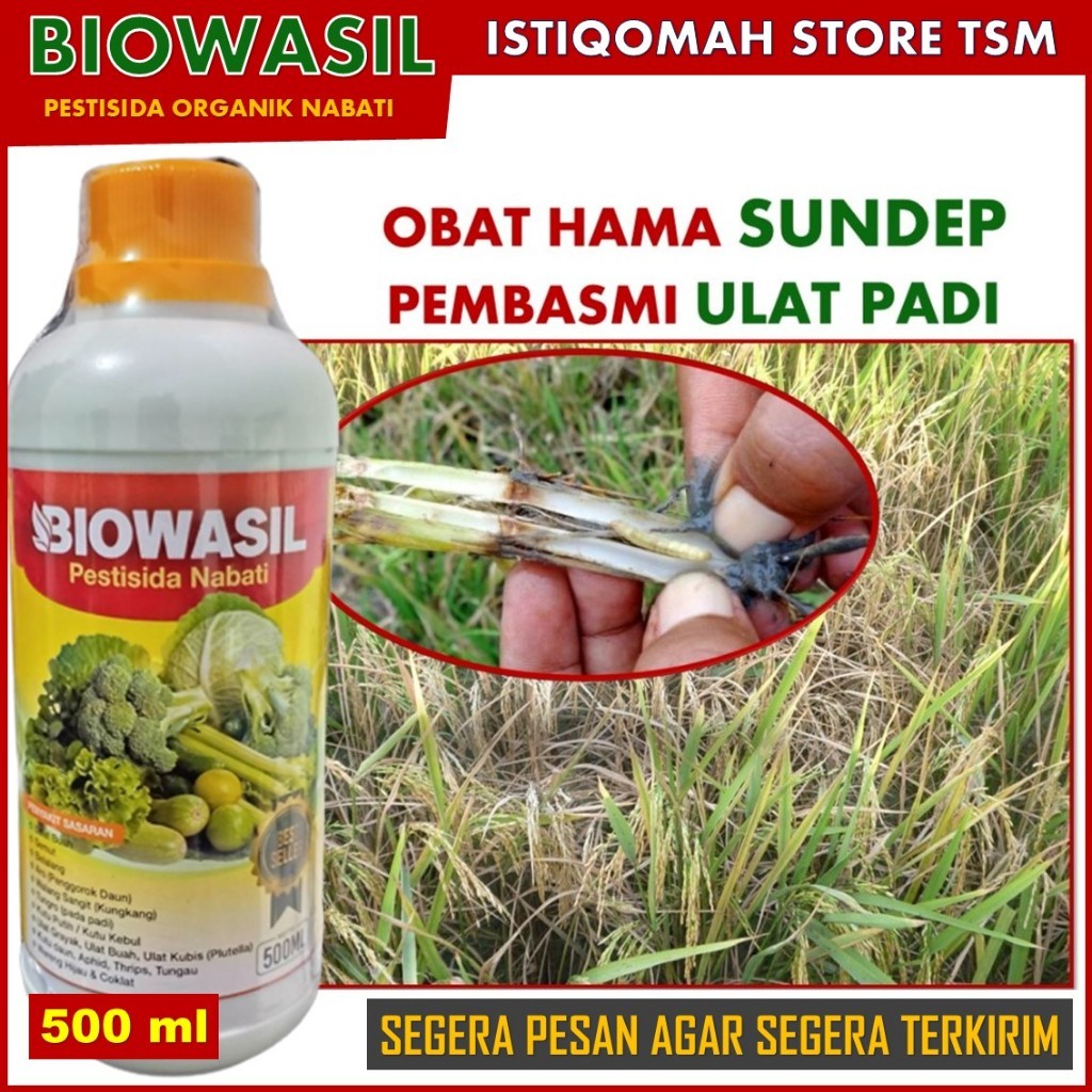 REKOMENDED 500 ML BIOWASIL Pupuk Organik Anti Hama Sundep Pembasmi Ulat Padi - Pupuk Pestisida Sempr