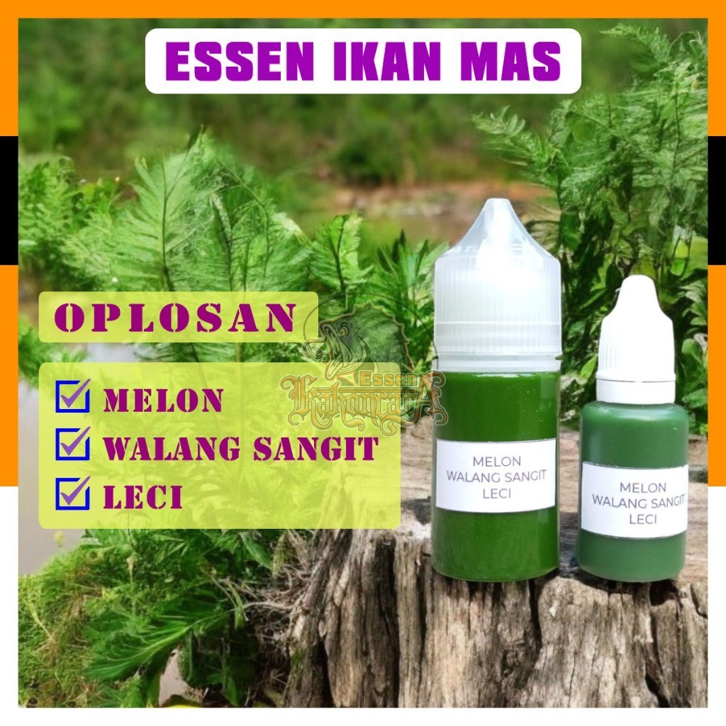 Pancingan Jadi Rame Essen Ikan Mas Melon Walang Sangit Leci