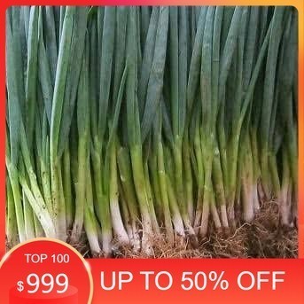 

LBJ Daun Bawang Super Fresh 250gr