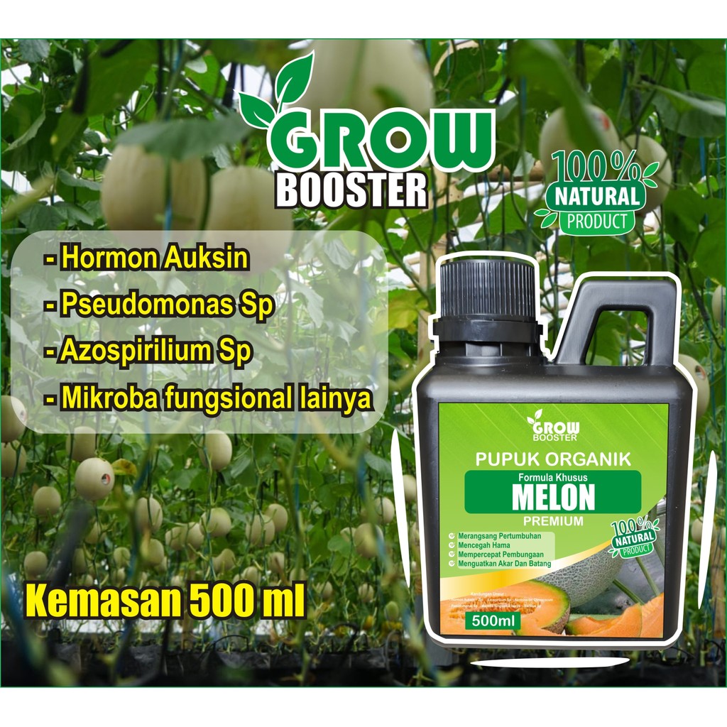 pupuk booster cair melon, Pupuk Pembesar Pemanis Buah Melon / Pupuk Untuk Penyubur Perangsang Tanama