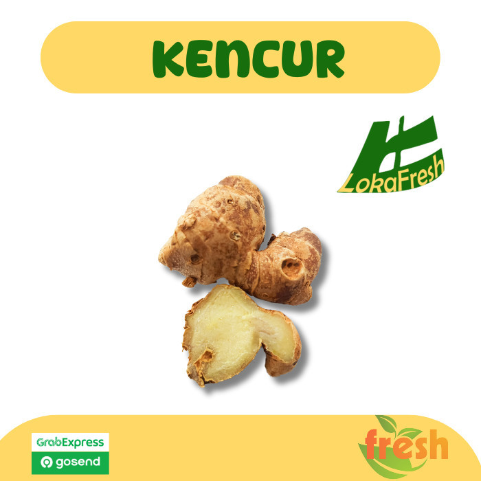 

Kencur/ Aromatic Ginger 500 gram