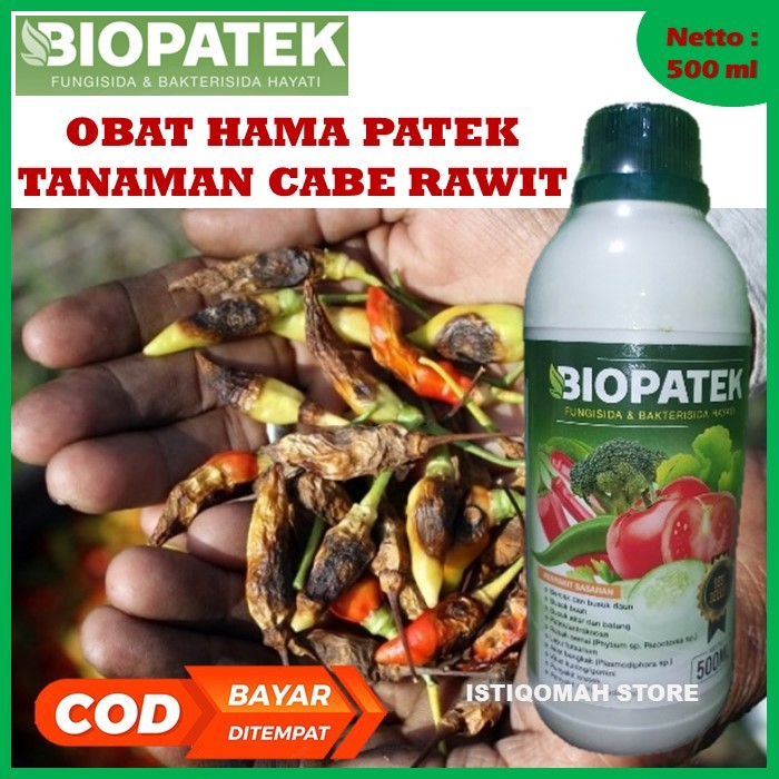 Obat Pembasmi Patek Cabe BIOPATEK 500ML Fungisida & Bakterisida Hayati Obat Semprot Cabe Rawit Bulai