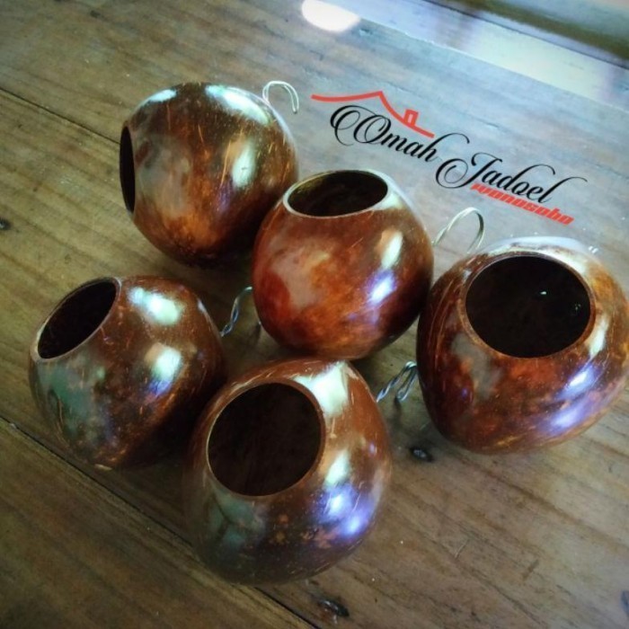 GLODOK BURUNG BATOK KELAPA / Sarang tempat sembunyi LOVEBIRD, PARKIT,