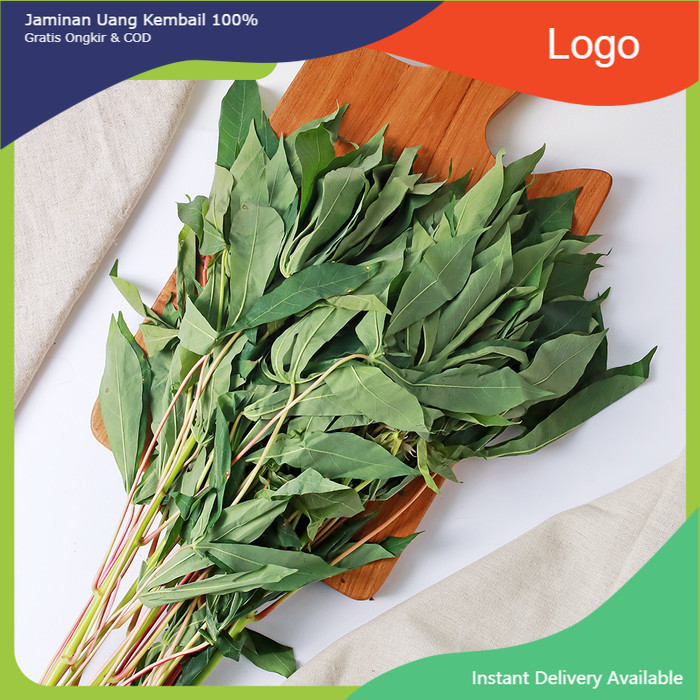 

LBJ Daun Singkong 150 Gram Fresh