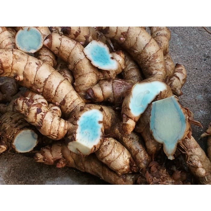 

New Promo 1 kg Terlaris Temu Ireng - Temu Hitam COD COD