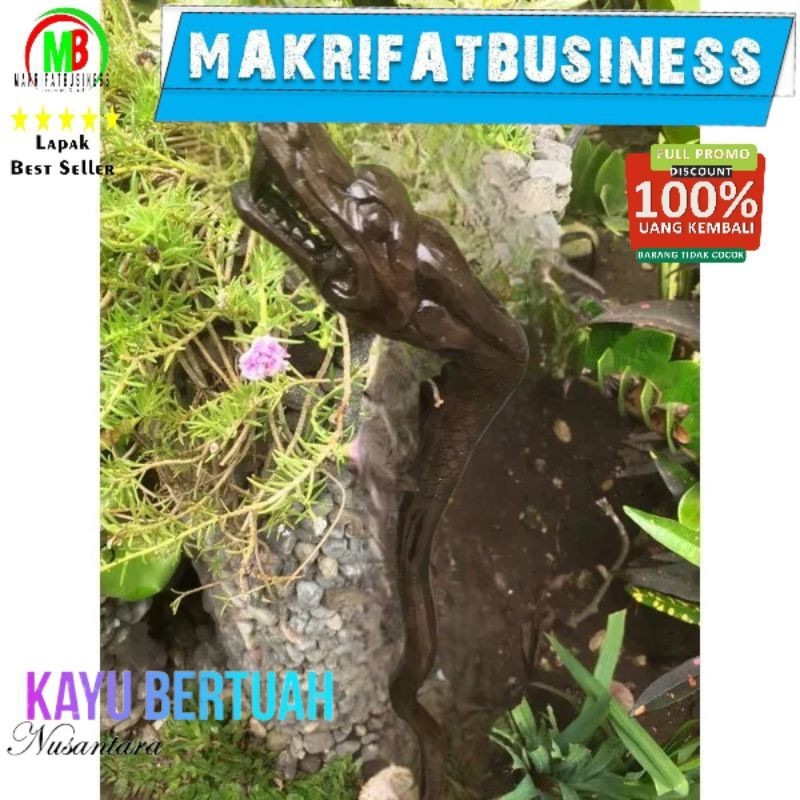 IMRON PRIBADI Tongkat Jalan kayu stigi laut hitam ukiran naga model 070