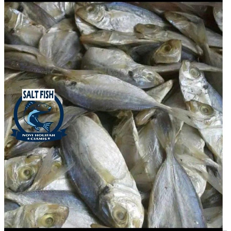 

TERMURAH Ikan Asin Selar Jumbo 500gram Murah Terjangkau