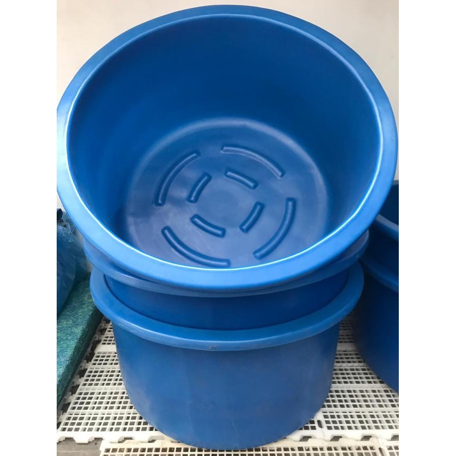 Bak nishikigoi bulat 1 meter , buat foto atau video ikan koi