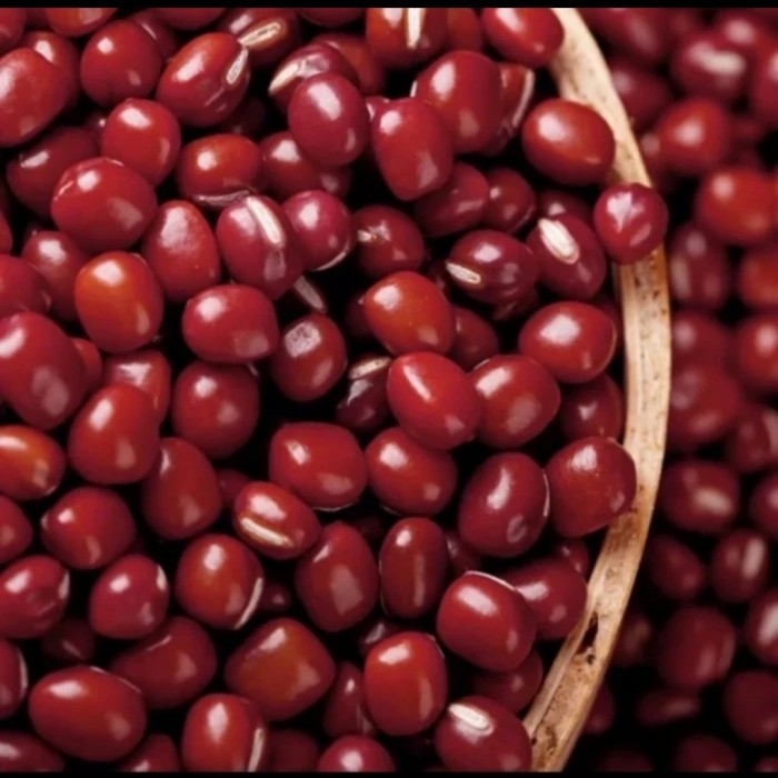 

kacang merah azuki adzuki 1 zak 25kg red bean import (ekspedisi)