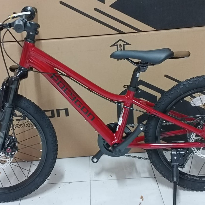 SEPEDA MTB 20 INCH POLYGON RELIC TERBARU GARANSI RESMI sepeda anak - Merah