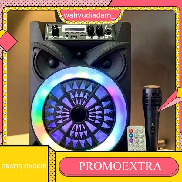 Speaker Bluetooth Karaoke Speaker Portabel Bluetooth Portabel Lampu Led Outdoor Dengan Mikrofon