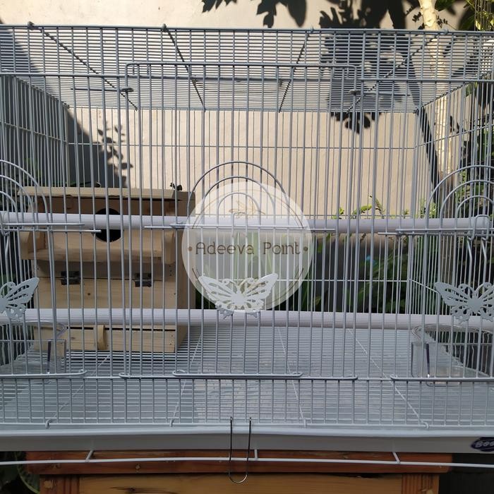 Kandang Umbaran | Kandang Ternak | Jumbo | Paket Ternak