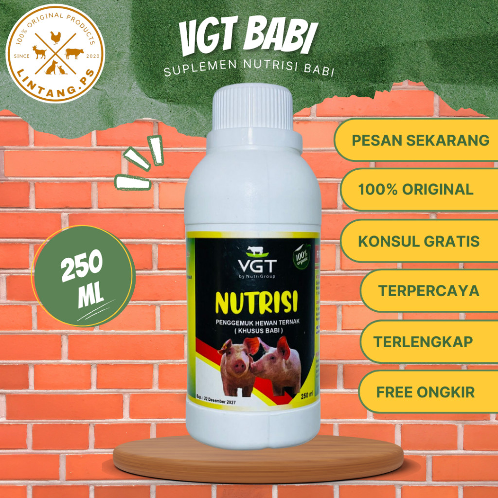 VGT Babi 250 ml - Suplemen Babi 250 ml - VGT Suplemen Nutrisi Babi 250 ml