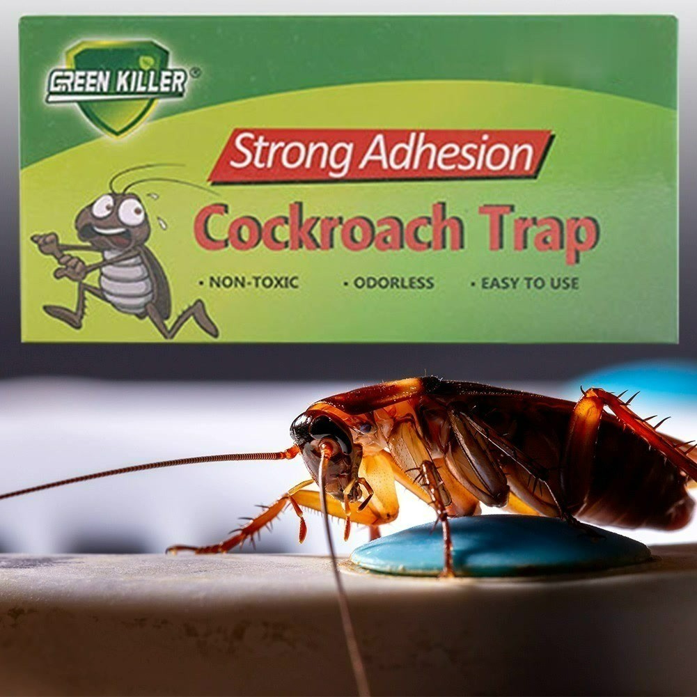 Kotak kecoa/perangkap kecoa/umpan papan tempel perangkap kecoa lem kuat