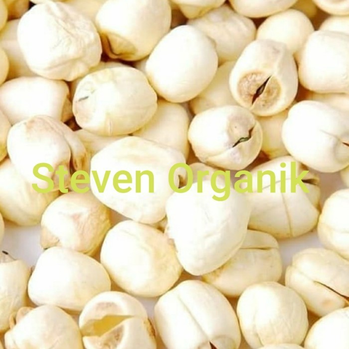 

Biji Teratai 250 gr / White Lotus Seed / Lianzhi / Lianci