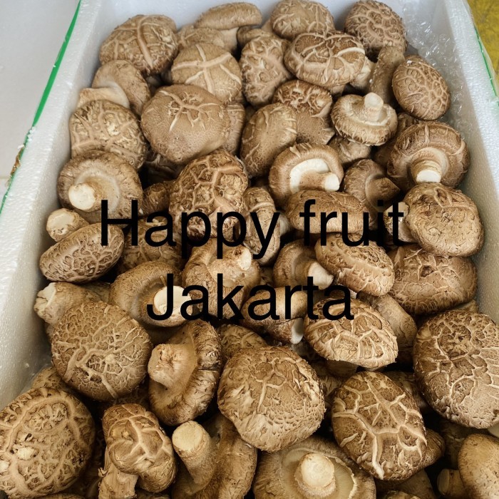 

Jamur shitake fresh tidak basah | shitake mushroom Box 5 kg