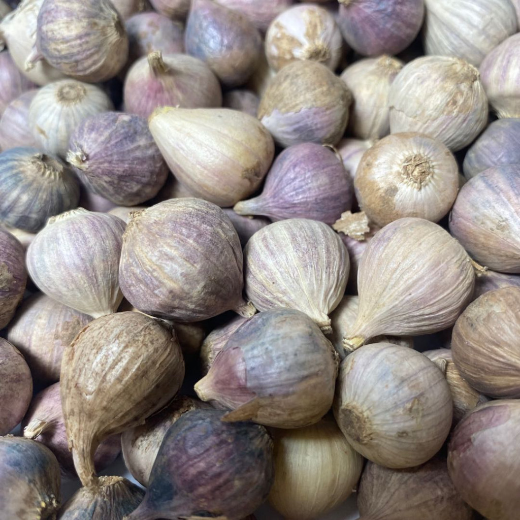 

RB Bawang Putih Tunggal 1kg 1 Kg 1 Kilogram 1000gr / Bawang Lanang Fresh 1kg 1kilogram / Bawang