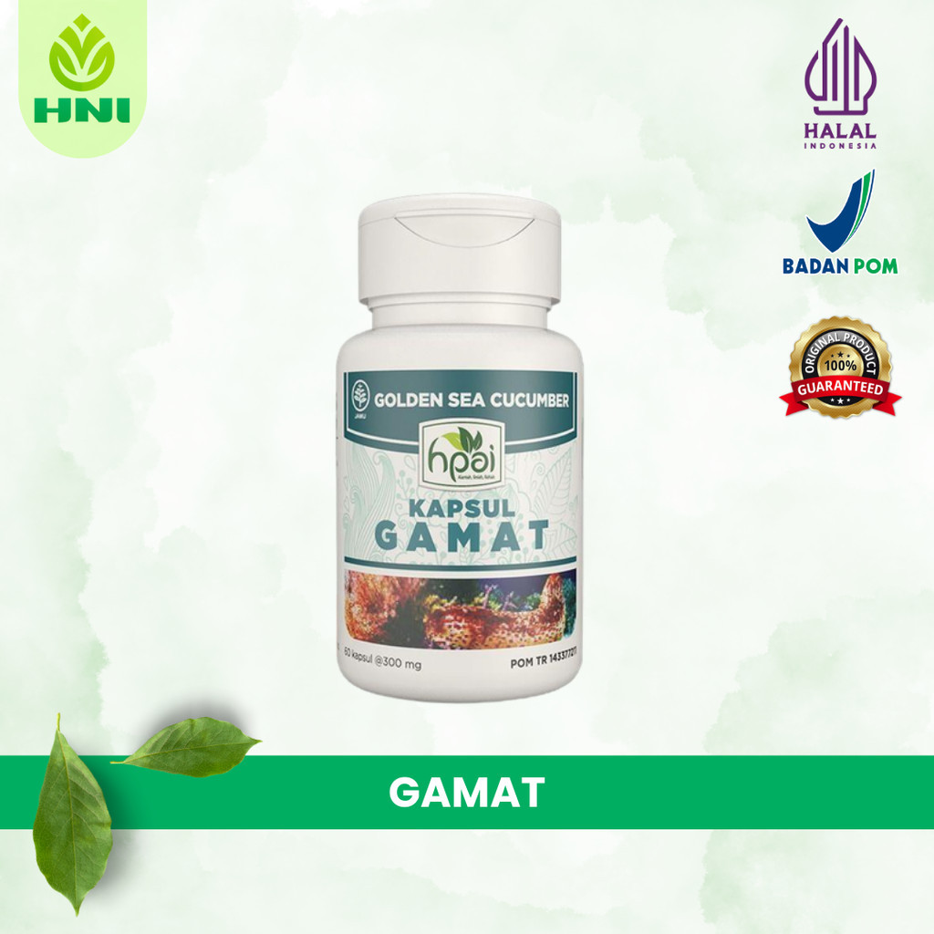 

GAMAT KAPSUL Ekstrak Teripang Emas Untuk Nyeri Sendi - HNI BPOM