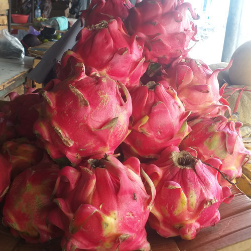 

Buah Naga Merah 1Kg/ Dragon Fruit | Sayur Segar Medan