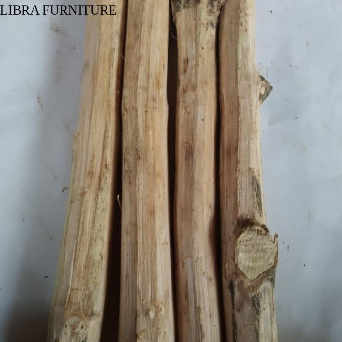 Ranting pohon jati herbal gratis ongkir