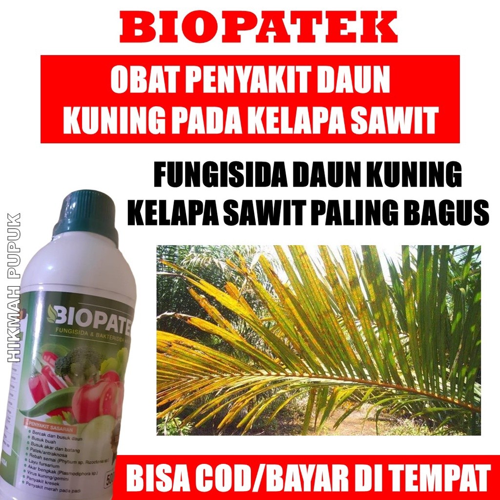 BAYAR DI TEMPAT FUNGISIDA PENYAKIT DAUN KUNING Kelapa Sawit BIOPATEK 500 ML - Obat Daun Kuning Kelap