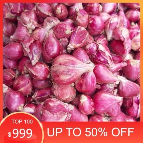 

LBJ Bawang merah brebes super