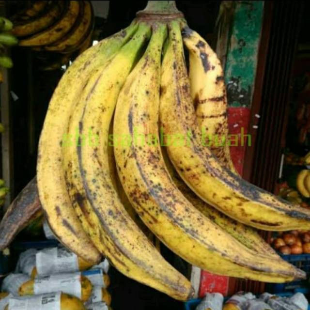 

UD BUAH 3 SAUDARA Buah pisang tanduk sukabumi