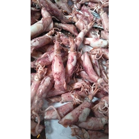 

TERMURAH Ikan asin cumi fresh bandung