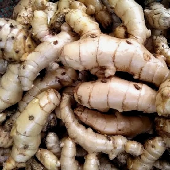 

kunyit putih 1 kg Kunyitputih segar kunyit putih segar